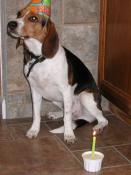 Riley's 1st Birthday