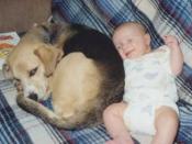 Dog & Baby