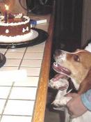 Mackie's First Birthday