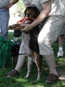 Samson