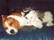Bailey & Reagan Meyers