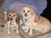 Bonnie & Missie